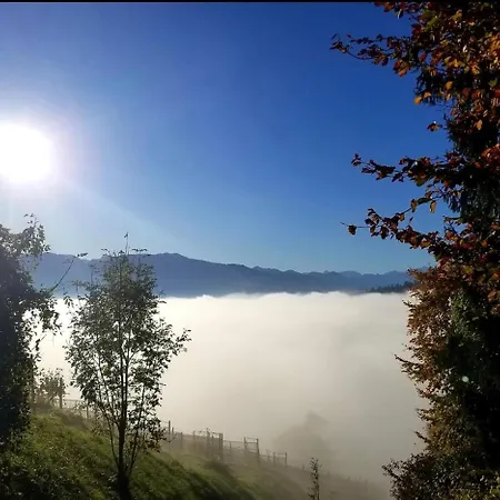 Dachwhg An Schoener Aussichtslage Berneck