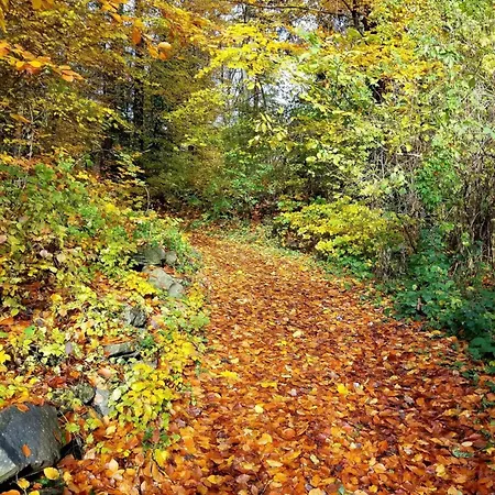 Apartmán Dachwhg An Schoener Aussichtslage *