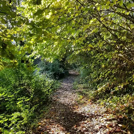 Apartmán Dachwhg An Schoener Aussichtslage