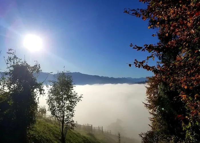 Dachwhg An Schoener Aussichtslage Berneck