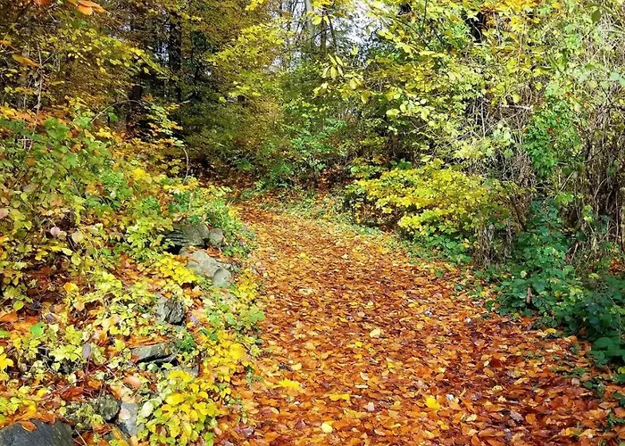 Lejlighed Dachwhg An Schoener Aussichtslage *