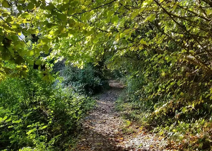 Lejlighed Dachwhg An Schoener Aussichtslage